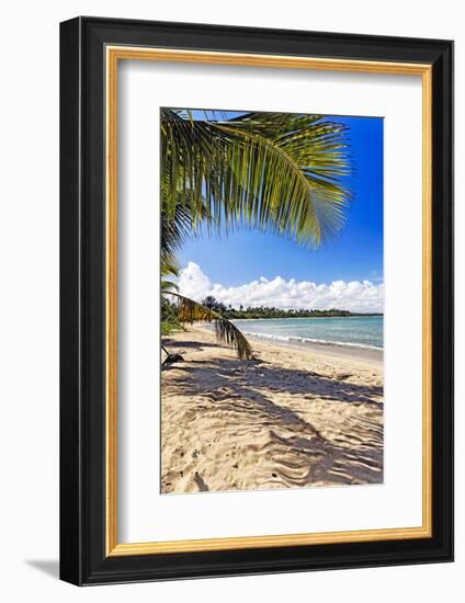 Palm Shadow, Loiza, Puerto Rico-George Oze-Framed Photographic Print