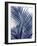 Palm Shadows Blue I-Melonie Miller-Framed Art Print
