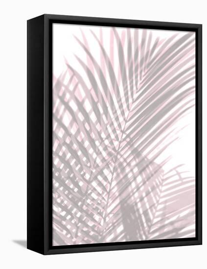 Palm Shadows Blush II-Melonie Miller-Framed Stretched Canvas