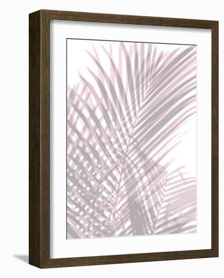 Palm Shadows Blush II-Melonie Miller-Framed Art Print