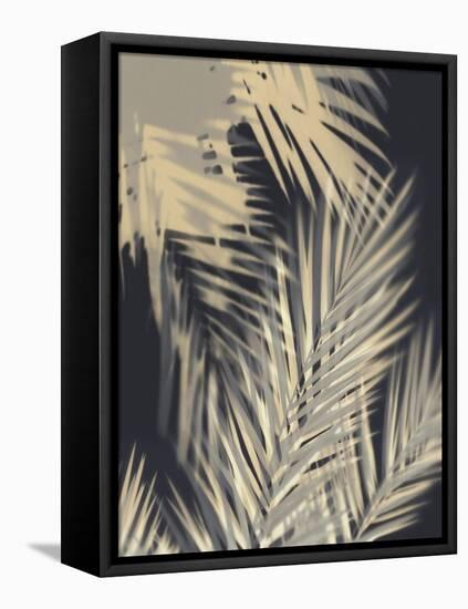 Palm Shadows Cream II-Melonie Miller-Framed Stretched Canvas