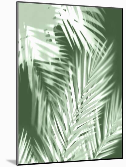 Palm Shadows Green II-Melonie Miller-Mounted Art Print