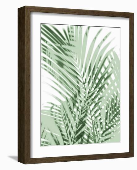 Palm Shadows Green III-Melonie Miller-Framed Art Print