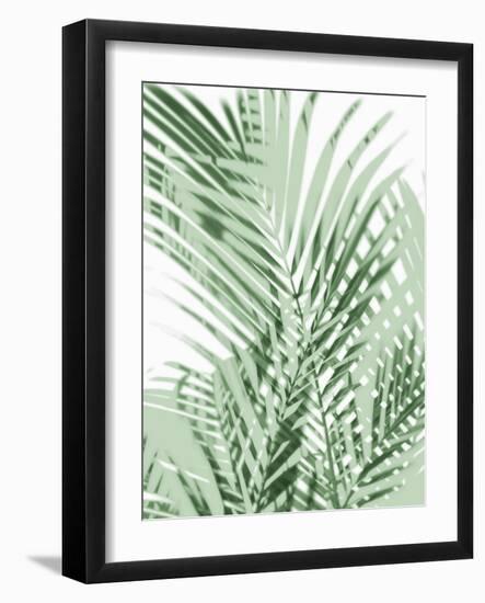 Palm Shadows Green III-Melonie Miller-Framed Art Print