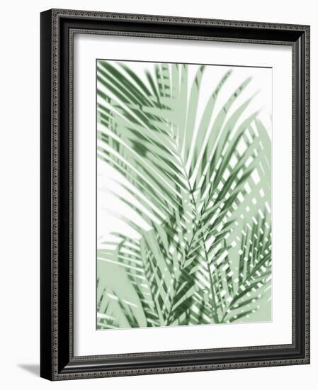 Palm Shadows Green III-Melonie Miller-Framed Art Print