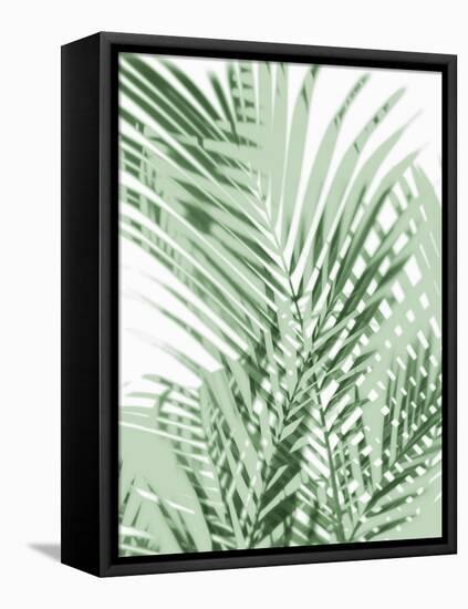 Palm Shadows Green III-Melonie Miller-Framed Stretched Canvas