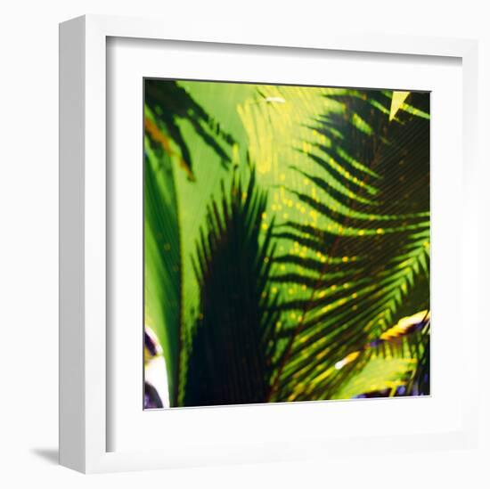 Palm Shadows I-Chris Simpson-Framed Giclee Print