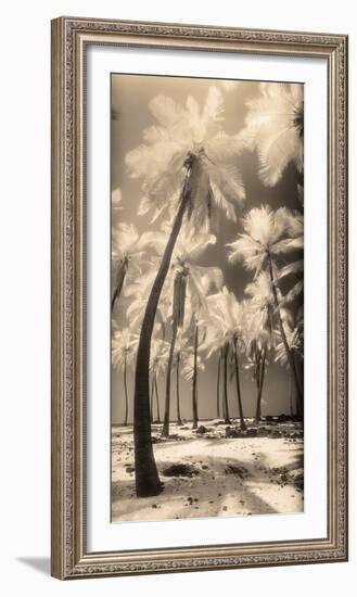 Palm Shadows I-Susan Friedman-Framed Photographic Print