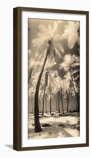 Palm Shadows I-Susan Friedman-Framed Photographic Print