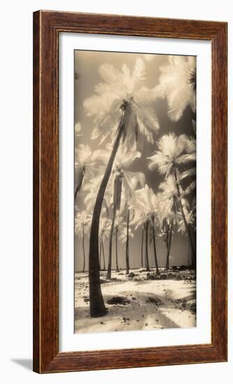 Palm Shadows I-Susan Friedman-Framed Photographic Print