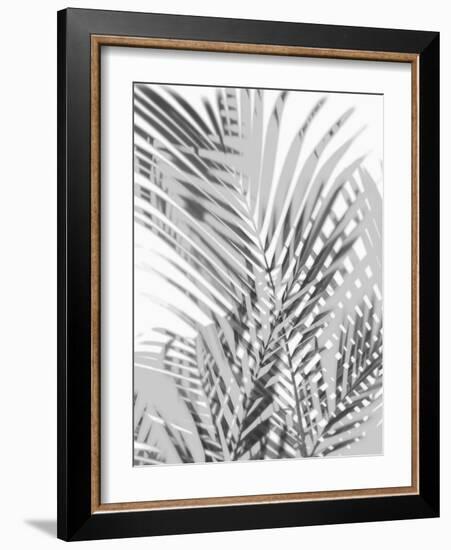 Palm Shadows III-Melonie Miller-Framed Art Print