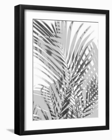 Palm Shadows III-Melonie Miller-Framed Art Print