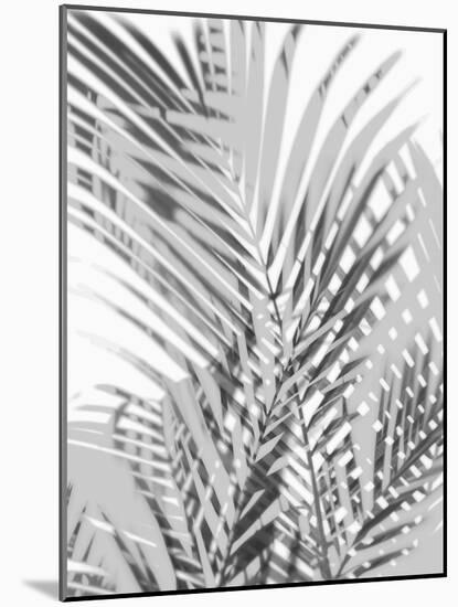 Palm Shadows III-Melonie Miller-Mounted Art Print