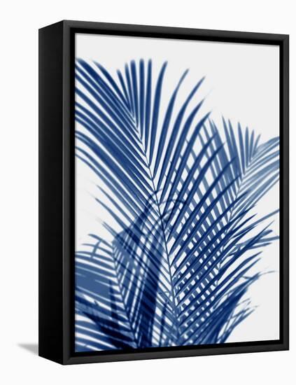 Palm Shadows Indigo I-Melonie Miller-Framed Stretched Canvas