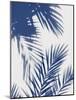 Palm Shadows Indigo II-Melonie Miller-Mounted Art Print