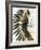 Palm Sienna I-John Butler-Framed Art Print