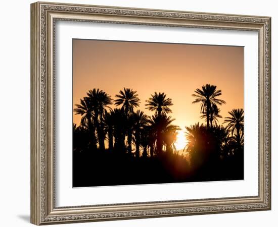 Palm Silhouettes over Sunset in the Desert. Zagora, Morocco, Africa.-LeonardoRC-Framed Photographic Print