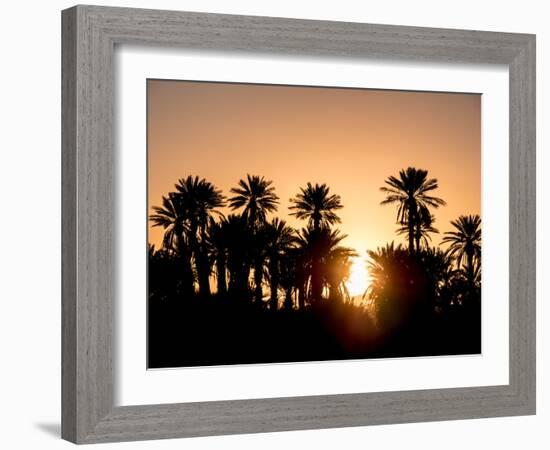 Palm Silhouettes over Sunset in the Desert. Zagora, Morocco, Africa.-LeonardoRC-Framed Photographic Print