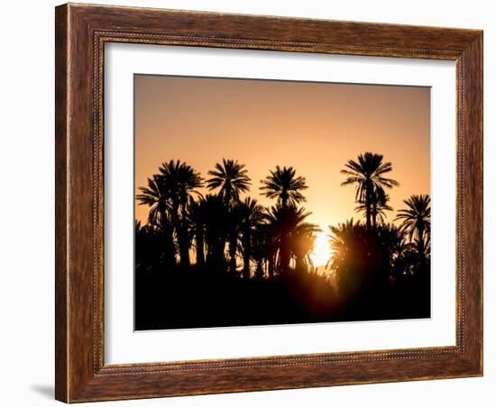 Palm Silhouettes over Sunset in the Desert. Zagora, Morocco, Africa.-LeonardoRC-Framed Photographic Print