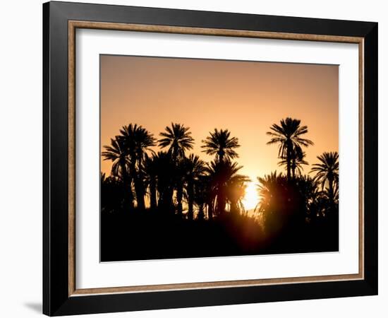 Palm Silhouettes over Sunset in the Desert. Zagora, Morocco, Africa.-LeonardoRC-Framed Photographic Print