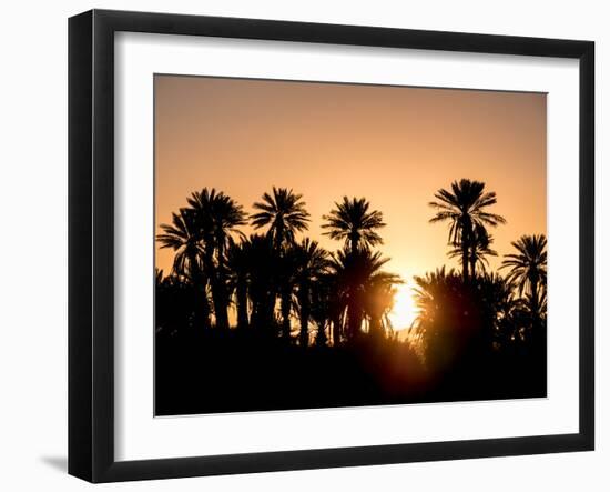 Palm Silhouettes over Sunset in the Desert. Zagora, Morocco, Africa.-LeonardoRC-Framed Photographic Print