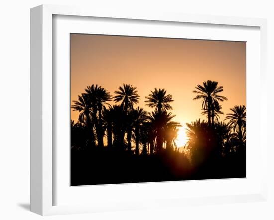 Palm Silhouettes over Sunset in the Desert. Zagora, Morocco, Africa.-LeonardoRC-Framed Photographic Print