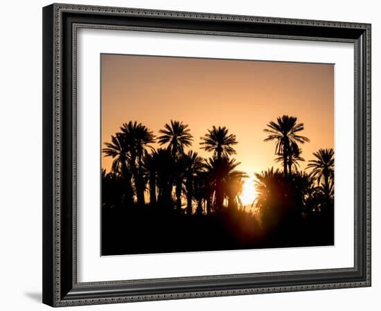 Palm Silhouettes over Sunset in the Desert. Zagora, Morocco, Africa.-LeonardoRC-Framed Photographic Print