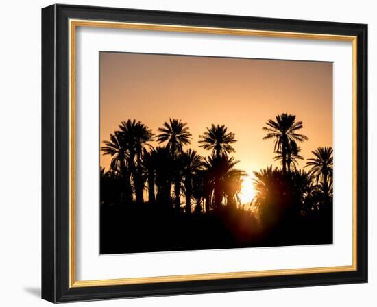 Palm Silhouettes over Sunset in the Desert. Zagora, Morocco, Africa.-LeonardoRC-Framed Photographic Print