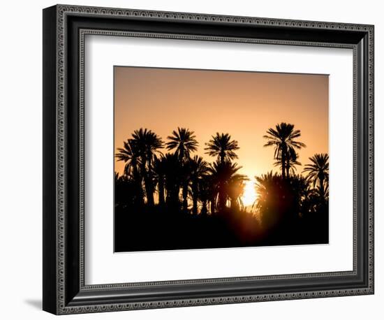 Palm Silhouettes over Sunset in the Desert. Zagora, Morocco, Africa.-LeonardoRC-Framed Photographic Print