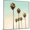 Palm Sky 1, 2024-Alex Hanson-Mounted Art Print