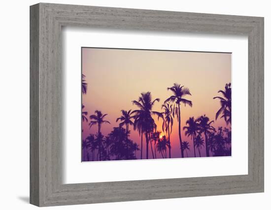 Palm Sky 1-Design Fabrikken-Framed Photographic Print