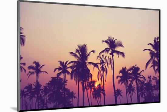 Palm Sky 1-Design Fabrikken-Mounted Photographic Print