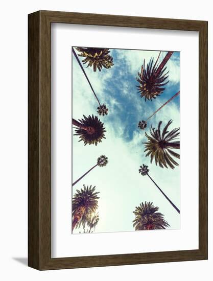 Palm Sky 2-Design Fabrikken-Framed Photographic Print