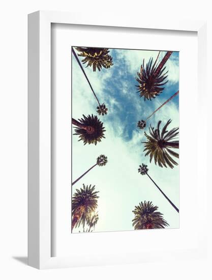 Palm Sky 2-Design Fabrikken-Framed Photographic Print