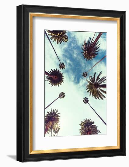 Palm Sky 2-Design Fabrikken-Framed Photographic Print