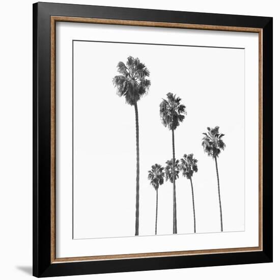 Palm Sky Black, 2024-Alex Hanson-Framed Art Print