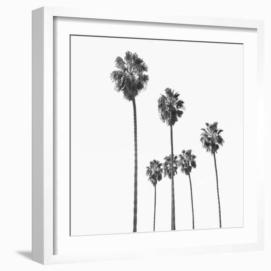 Palm Sky Black, 2024-Alex Hanson-Framed Art Print