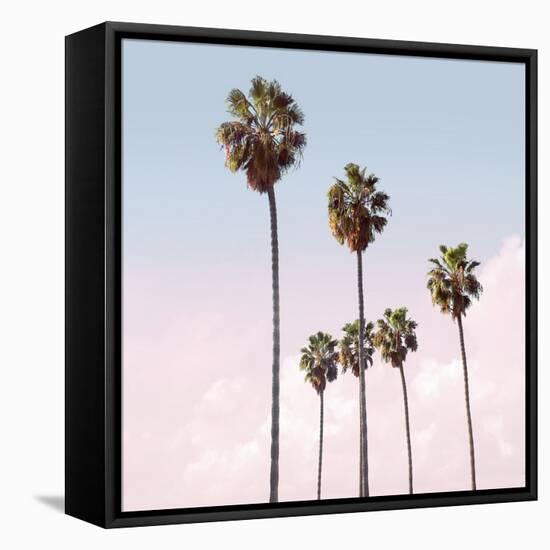 Palm Sky Blush, 2024-Alex Hanson-Framed Stretched Canvas