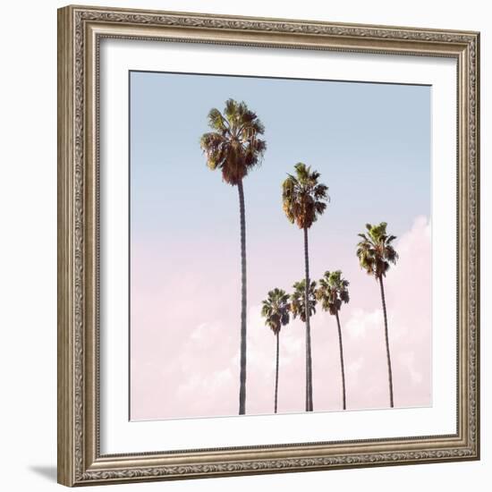 Palm Sky Blush, 2024-Alex Hanson-Framed Art Print