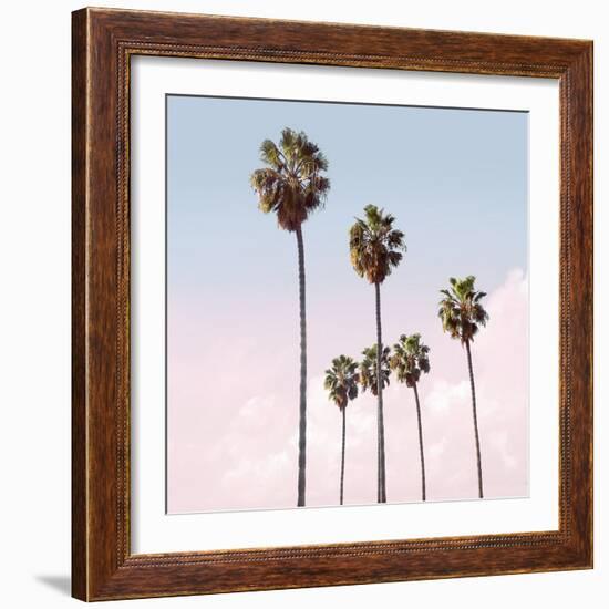 Palm Sky Blush, 2024-Alex Hanson-Framed Art Print