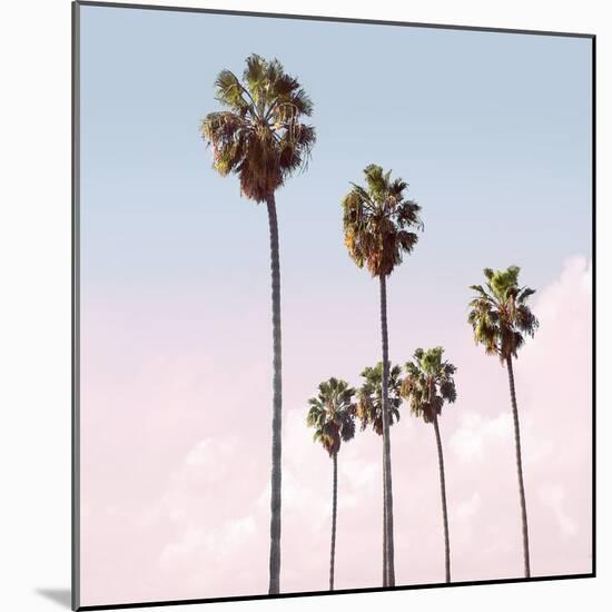 Palm Sky Blush, 2024-Alex Hanson-Mounted Art Print