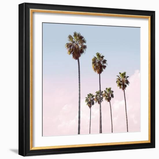 Palm Sky Blush, 2024-Alex Hanson-Framed Art Print