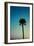 Palm Solo-Susan Bryant-Framed Art Print