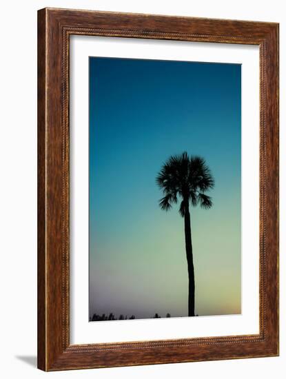 Palm Solo-Susan Bryant-Framed Art Print