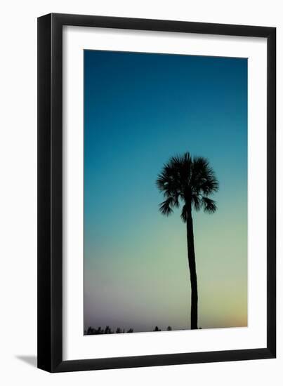 Palm Solo-Susan Bryant-Framed Art Print