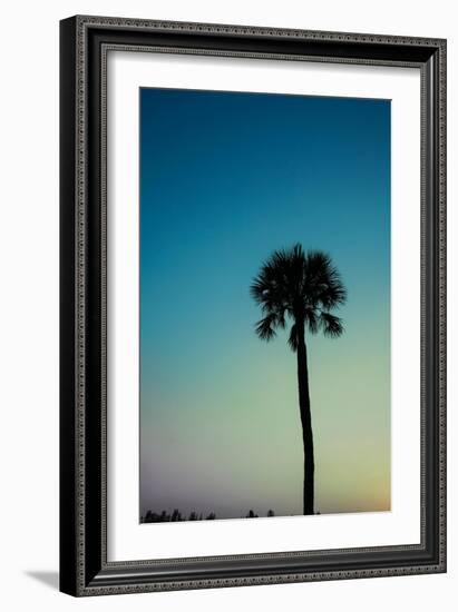 Palm Solo-Susan Bryant-Framed Art Print