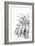 Palm Spring - Noir-Irene Suchocki-Framed Giclee Print