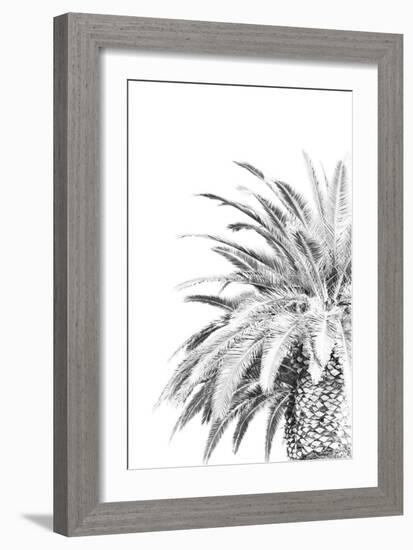 Palm Spring - Noir-Irene Suchocki-Framed Giclee Print