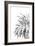 Palm Spring - Noir-Irene Suchocki-Framed Giclee Print