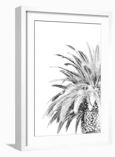 Palm Spring - Noir-Irene Suchocki-Framed Giclee Print